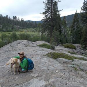 Meet your Posher, Jane